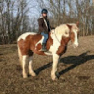 Meet your Posher, Gabrielle